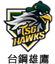 台鋼雄鷹