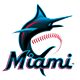 邁阿密馬林魚