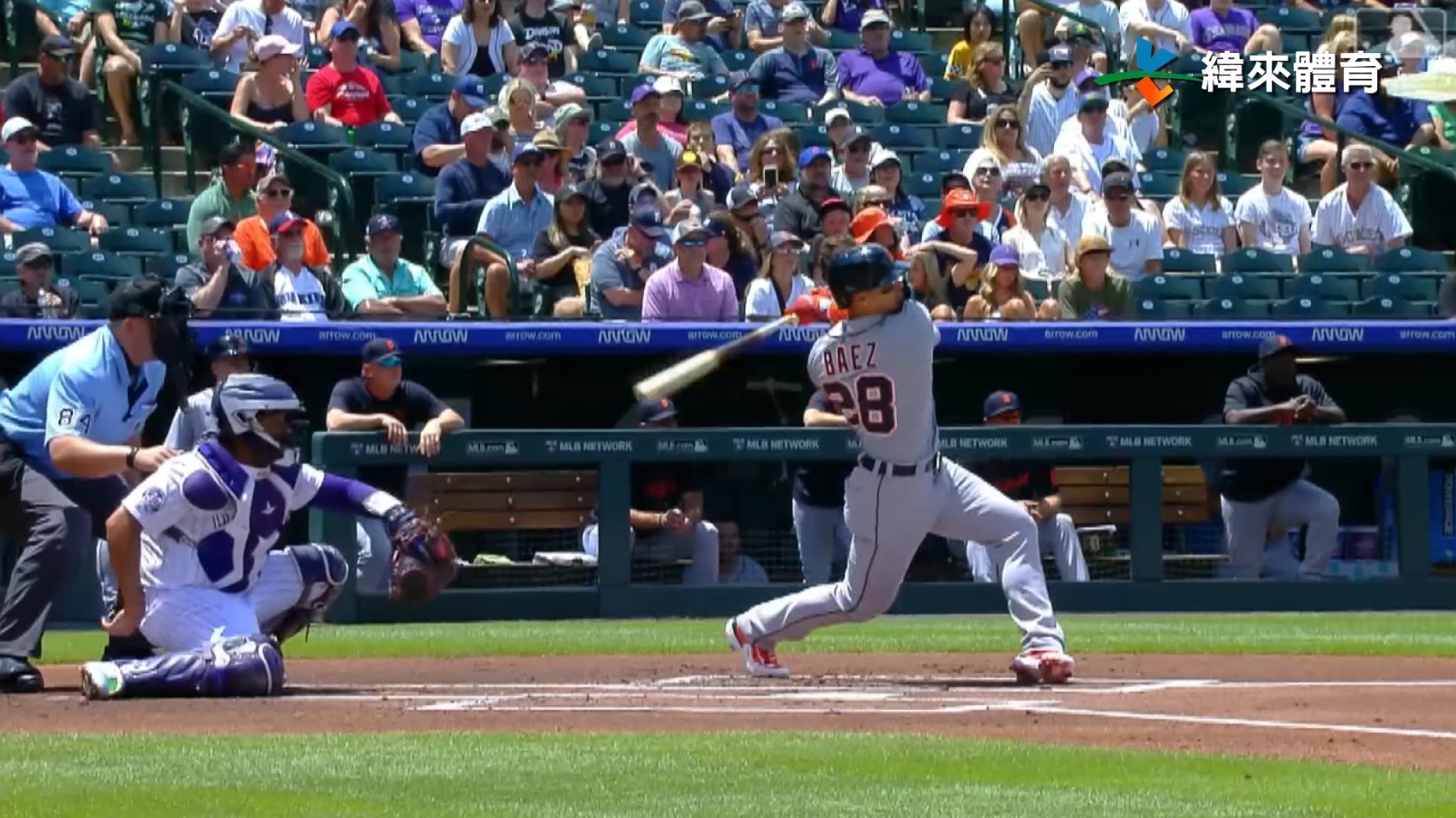 Javier Baez。圖片來源：MLB