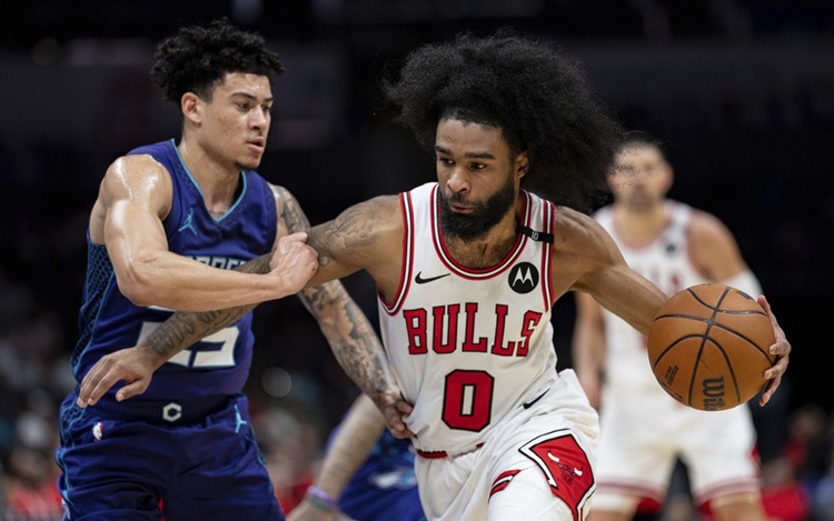 Coby White(右)。圖片來源:達志影像