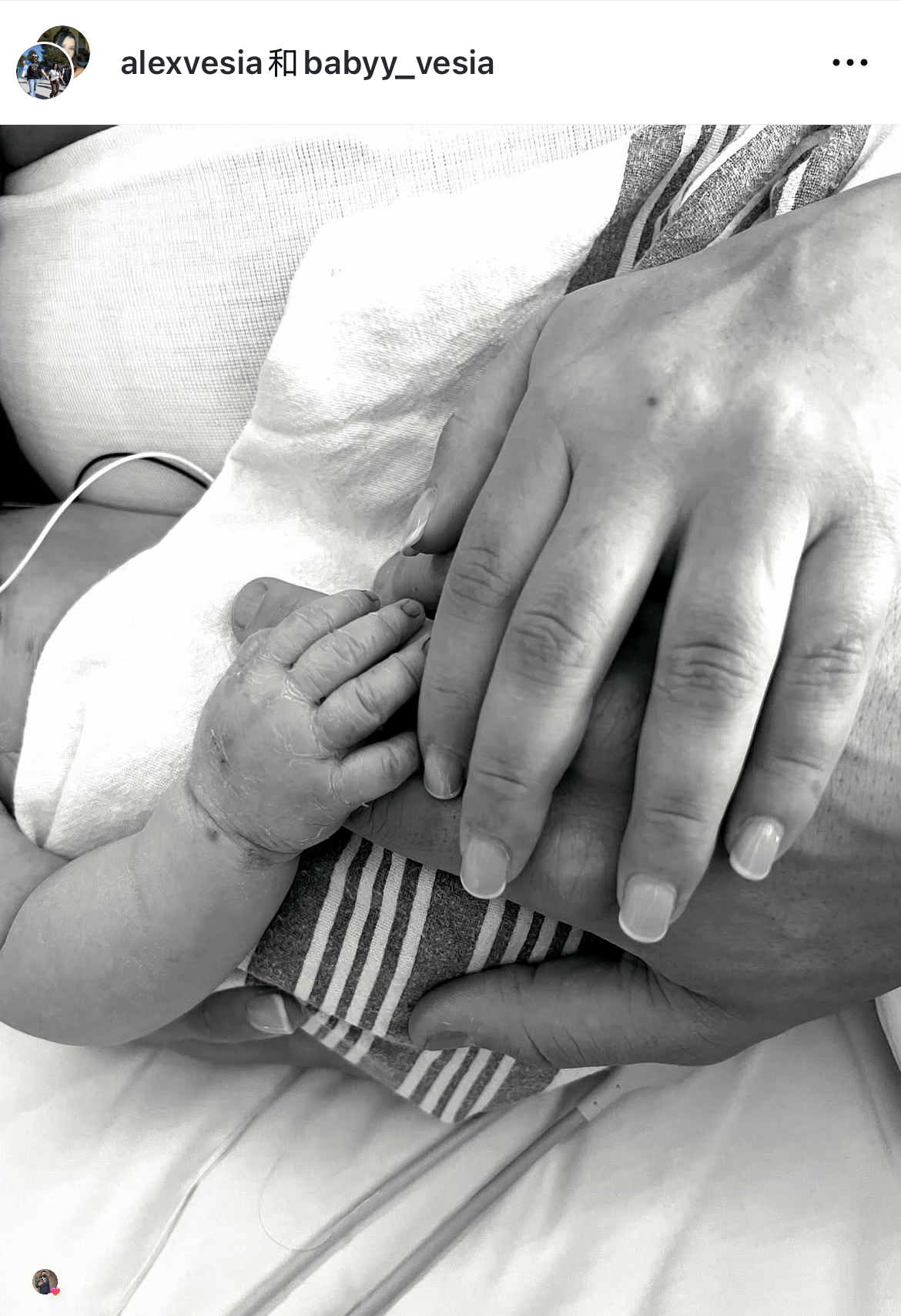 圖片來源：Vesia IG