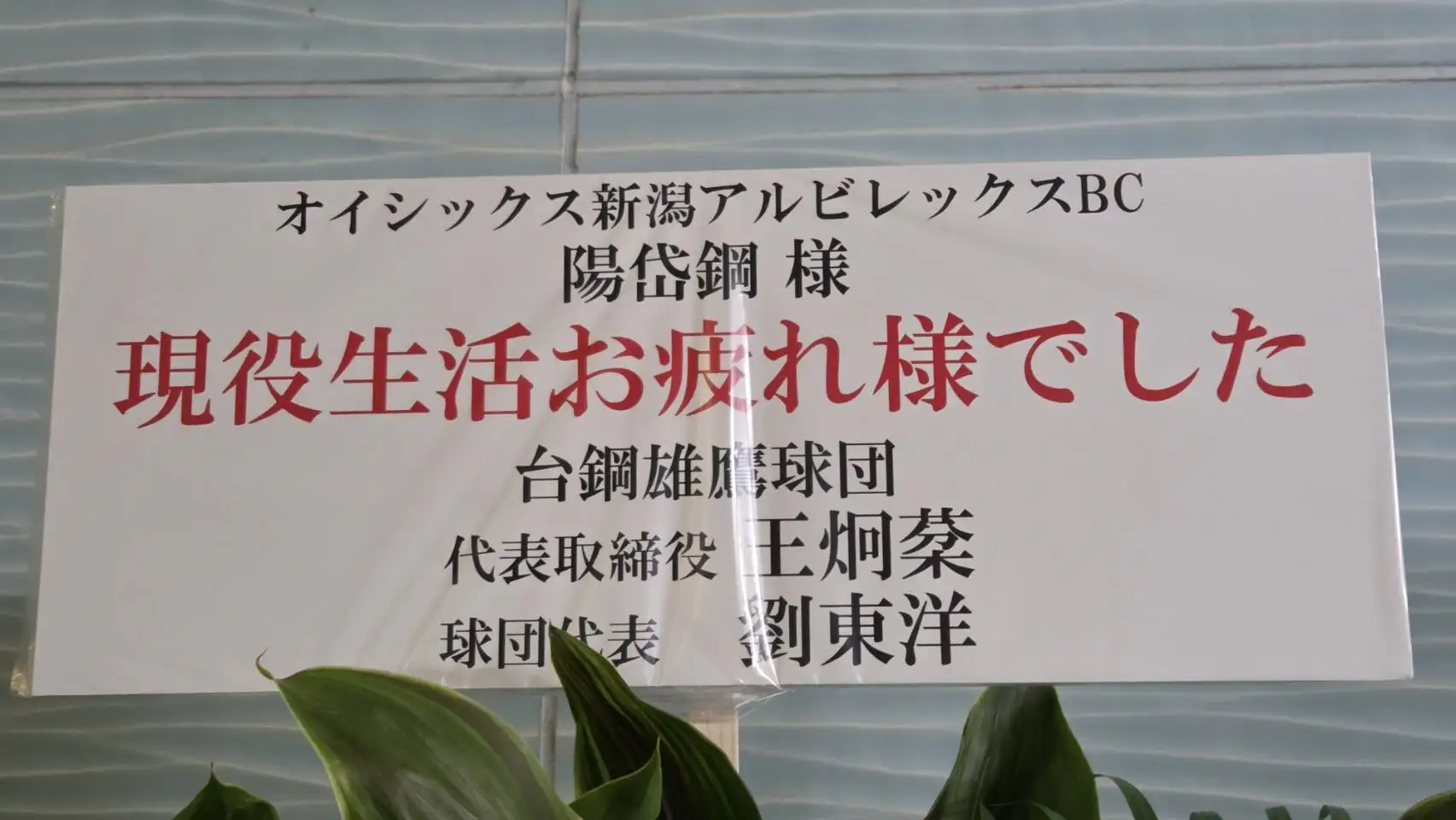 台鋼雄鷹球團送的花籃。羅惠齡攝